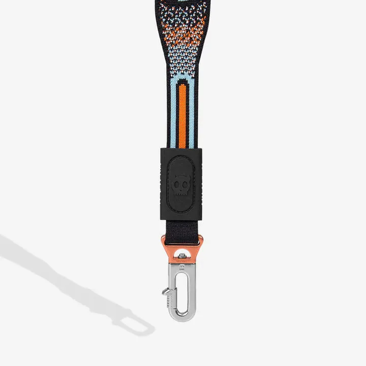 Chron | Nit Leash