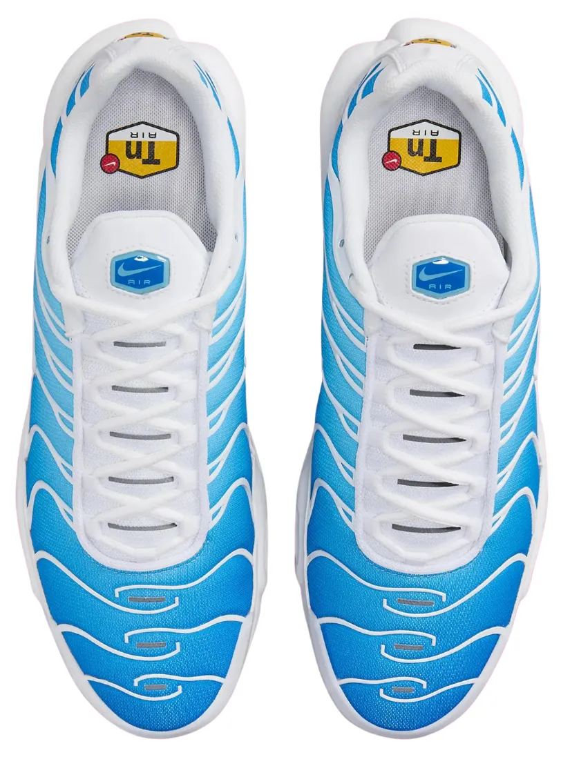 Nike Air Max Plus 'Sky Blue/Battle Blue' (2024)