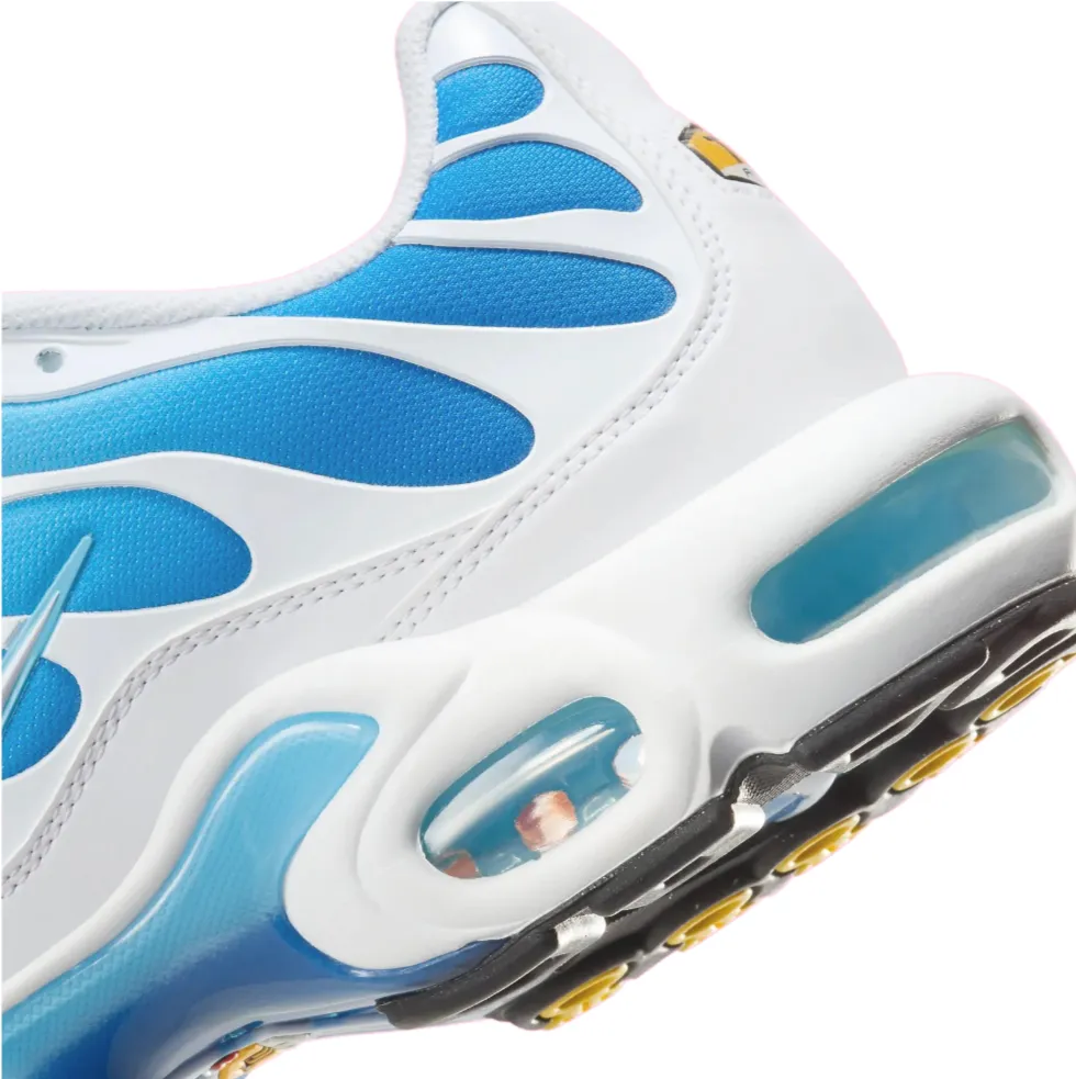 Nike Air Max Plus 'Sky Blue/Battle Blue' (2024)